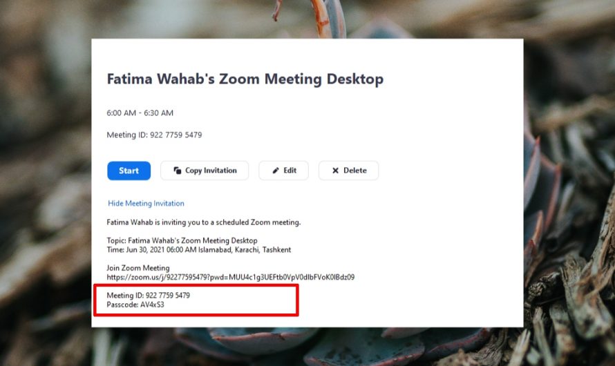 So verwenden Sie einen Zoom-Meeting-Code, um einem Meeting beizutreten