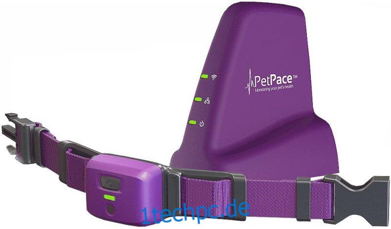 PetPace Smart Halsband mit 12 Monate Pet Plus Überwachung