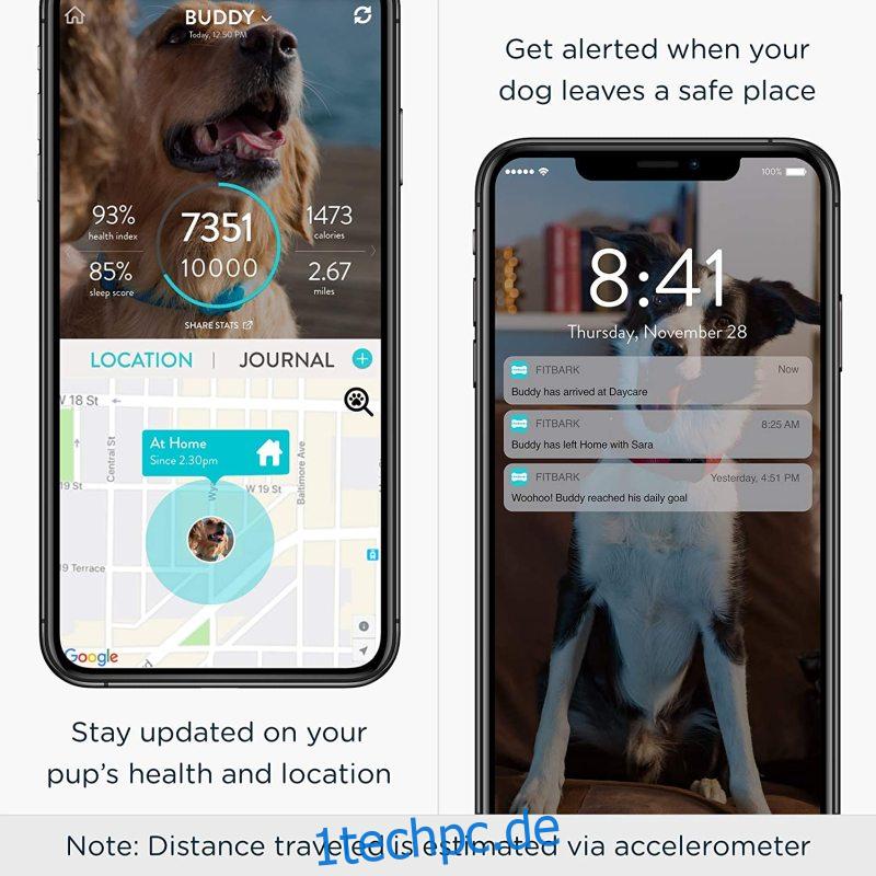 FitBark GPS Hundetracker |  Intelligentes Halsband zur Gesundheits- und Standortverfolgung von Haustieren