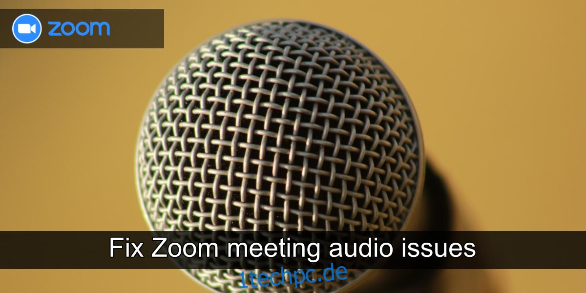 Audioprobleme bei Zoom-Meetings beheben