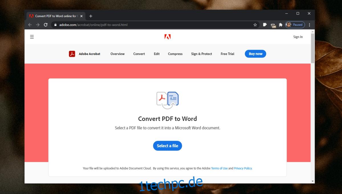 Probleme beim Konvertieren Ihres PDFs in Word