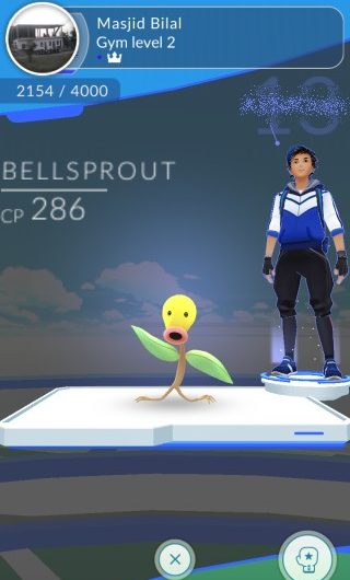 Wie man Gymnastikkämpfe in Pokémon Go bestreitet