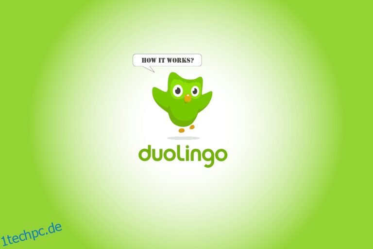 Was Ist Duolingo Und Wie Funktioniert Duolingo? Tipps Und Tricks ...