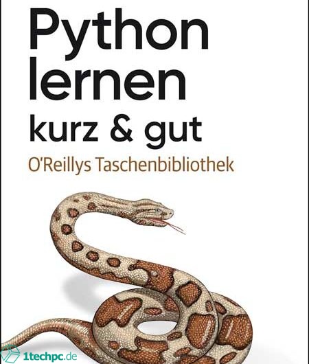 Automatisierung von Aufgaben mit Python: Effizienzsteigerung im Programmieralltag